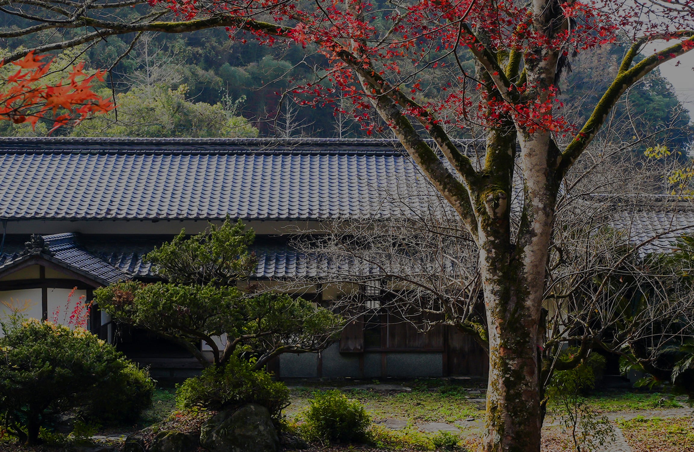 大州野田庄旅館 近田屋